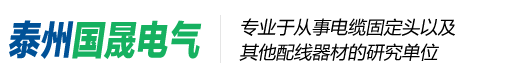 泰州国晟电气有限公司