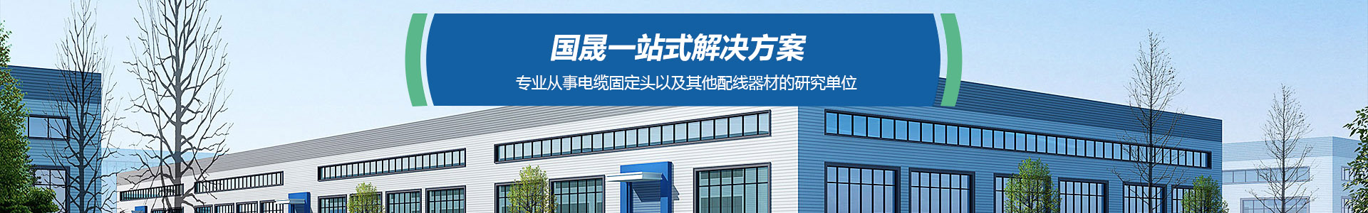 泰州国晟电气有限公司